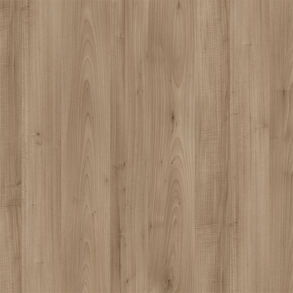E11006 Daxing'Anling Maple